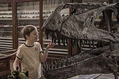 Gio fasst im Museum lachend einem riesigen Dinosaurier-Schädel an die Zähne